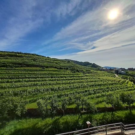 Wohnung In Der Wachau Weissenkirchen in der Wachau Ngoại thất bức ảnh