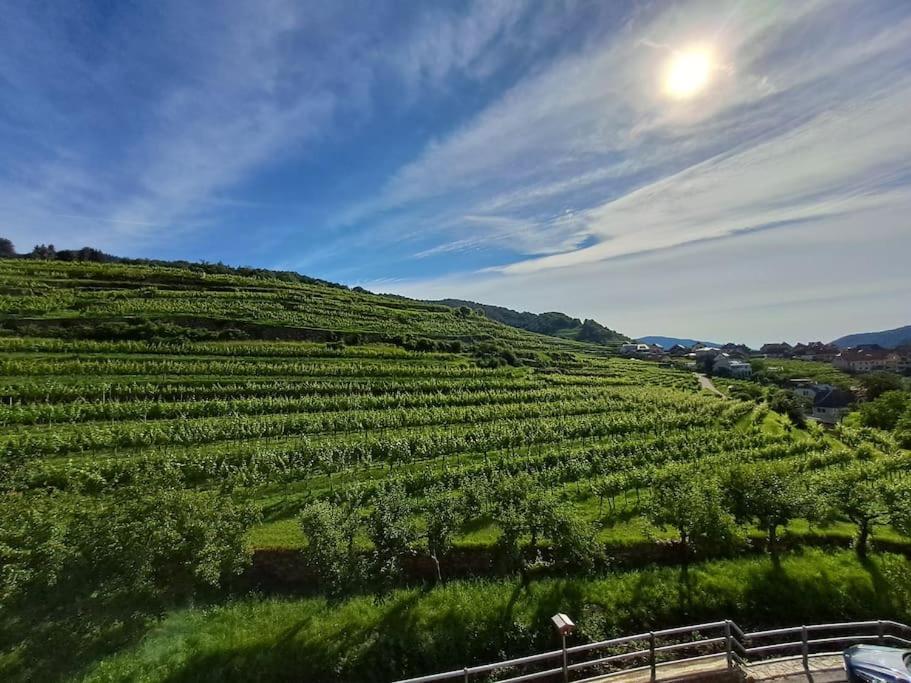 Wohnung In Der Wachau Weissenkirchen in der Wachau Ngoại thất bức ảnh